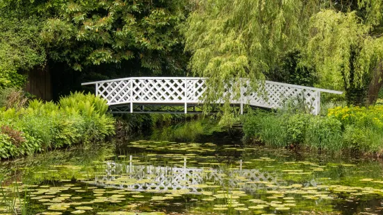 Gooderstone Water Gardens