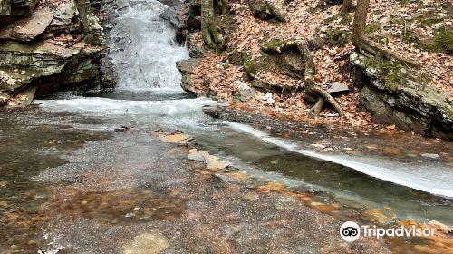 Wantastiquet Mountain Natural Area