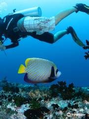 Maafushi Dive & Water Sports.