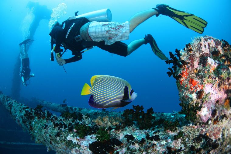 One of many diving sites in Maafushi