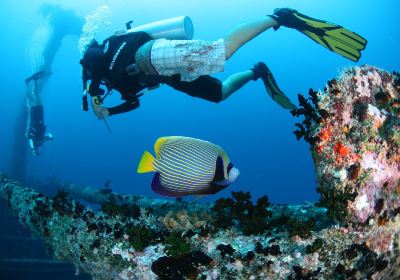 Maafushi Dive