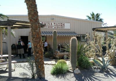 China Ranch Date Farm