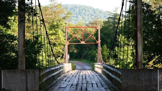 Swinging Bridge