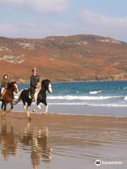 Dunfanaghy Stables Ltd