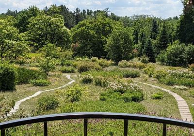 Криворожский ботанический сад НАН Украины