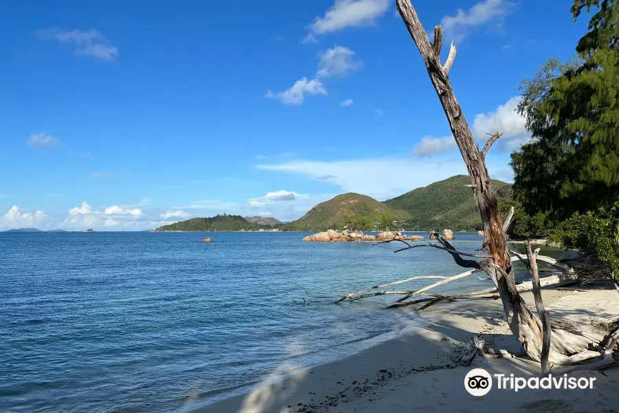 拉齊奧海灘