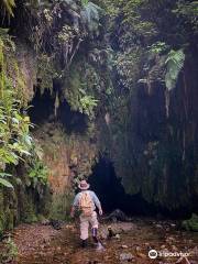 Limestone Creek Glow Worms Caves