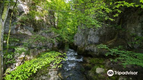 Taubenlochschlucht