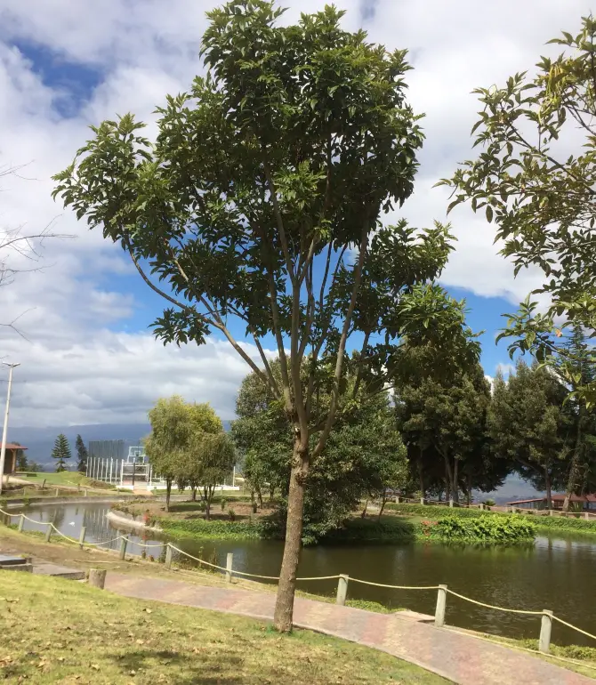 Parroquia Ambatillo