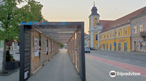 Avenue of Heroes in Cluj-Napoca (B-dul Eroilor)