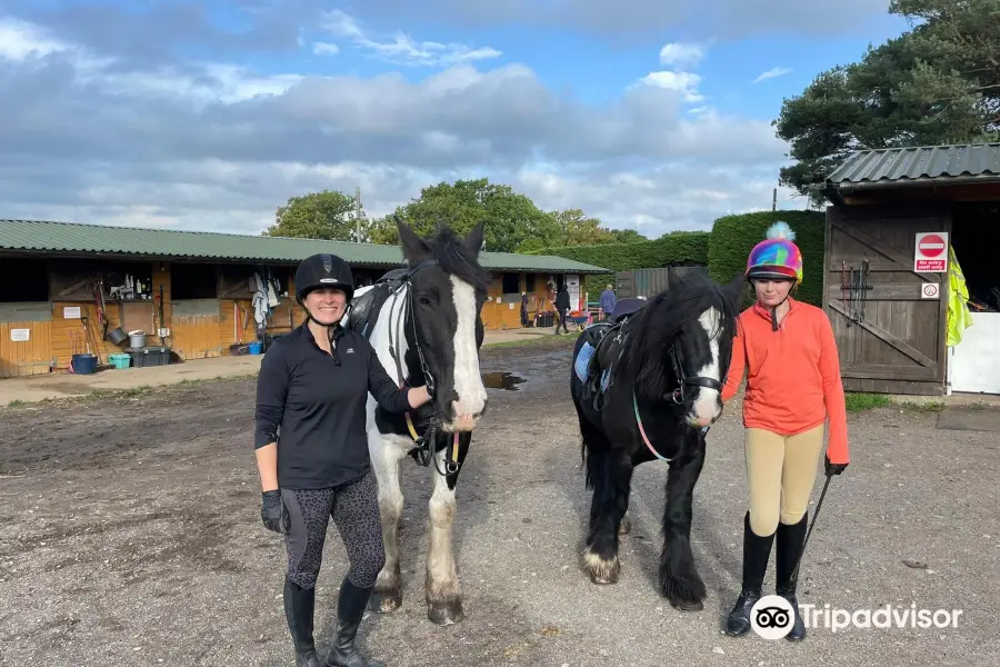 Eastmoors Riding School and Livery