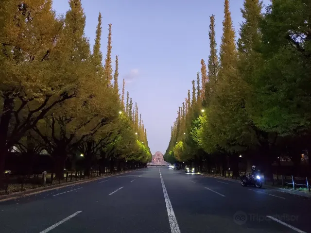 日本楓葉景點｜東京賞楓 明治神宮外苑