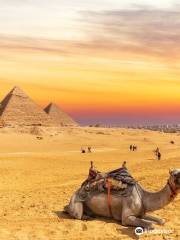 Viaggi dei Faraoni