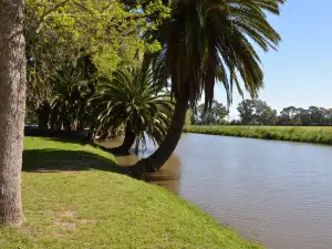 ムニシパル・ドミンゴ F. サルミエント公園