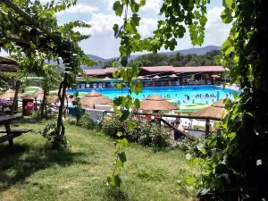 The Oasis del Sol