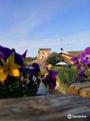 Agricampeggio - Parco Borghetto