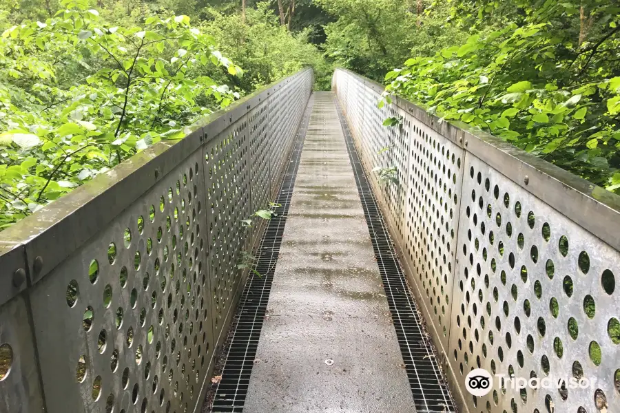 The Glyn-Neath Gunpowder Works