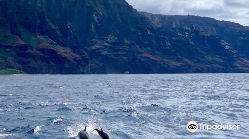 Na Pali Catamaran