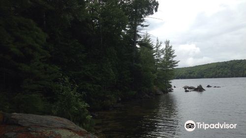 Lake of Bays Boat Tours