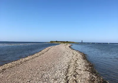 Viimsi