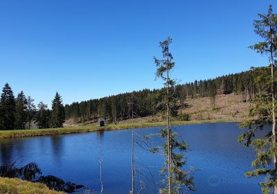 Liebesbankweg