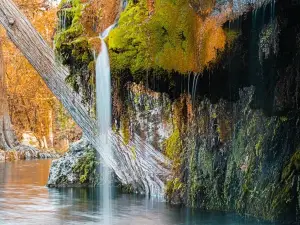 Krause Springs
