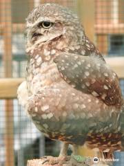 Burrowing Owl Interpretive Centre