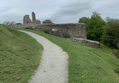 Montgomery Castle