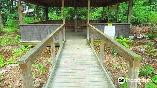 Wilson Botanical Gardens