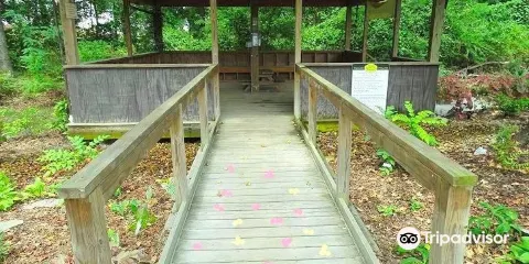 Wilson Botanical Gardens