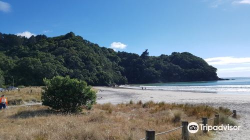 Waihi Beach