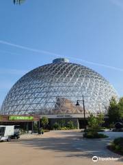 Omaha's Henry Doorly Zoo and Aquarium