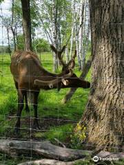 Shalom Wildlife Zoo