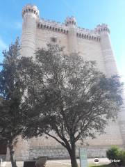 Castle Fuensaldaña