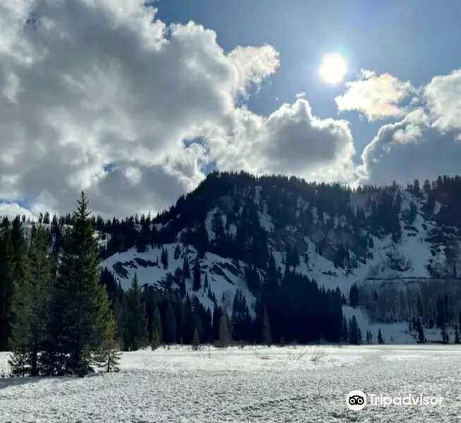 Wasatch-Cache National Forest