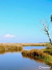 St. Marks National Wildlife Refuge