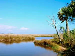 St. Marks National Wildlife Refuge