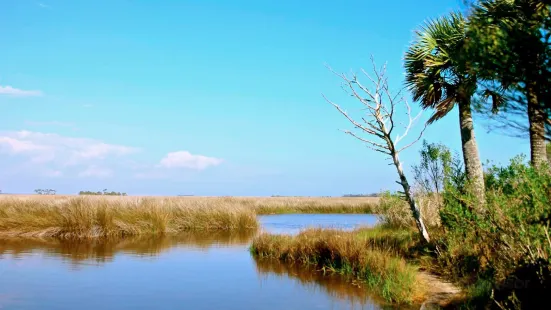 St. Marks National Wildlife Refuge