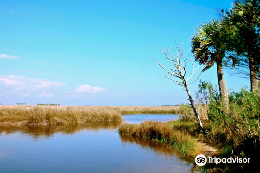 St. Marks National Wildlife Refuge