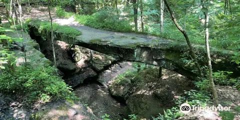 Rockbridge State Nature Preserve