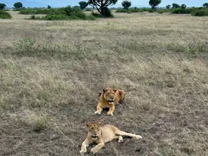 Queen Elizabeth National Park