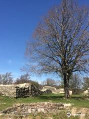 Ruine Frohburg