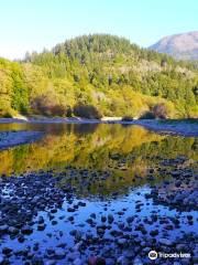 Chetco River