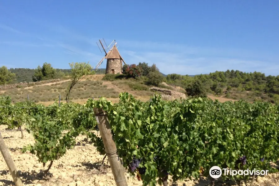 Le Clos Du Marbrier