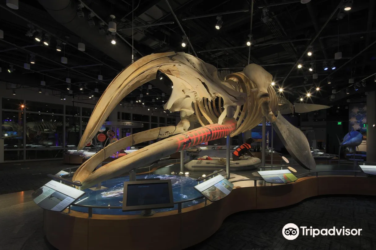 5_North Carolina Museum of Natural Sciences