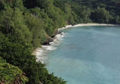 境浦海岸