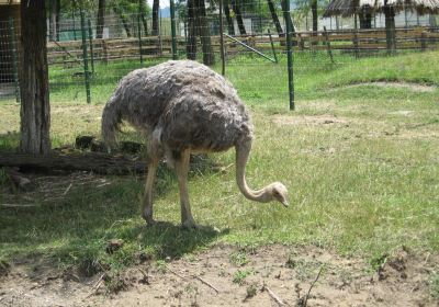 Zoo Ramnicu Valcea