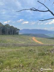 Lawrence Lookout