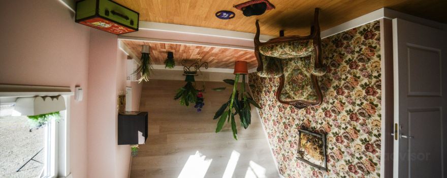 Inverted house Radailiai