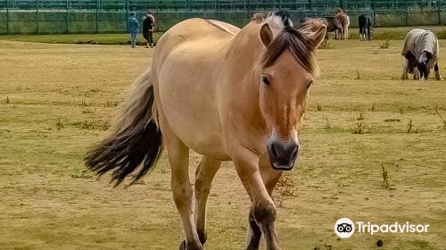 이스트브룩엔드 컨트리 공원